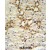 BSND Antibody (C-term) (Cat. #AP50397PU-N) IHC analysis in formalin fixed and paraffin embedded mouse kidney tissue followed by peroxidase conjugation of the secondary antibody and DAB staining. This data demonstrates the use of the BSND Antibody (C-term) for immunohistochemistry. Clinical relevance has not been evaluated.