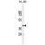 BTNL3 Antibody (C-term) (Cat. #AP50407PU-N) western blot analysis in HL-60 cell line lysates (35µg/lane).This demonstrates the BTNL3 antibody detected the BTNL3 protein (arrow).