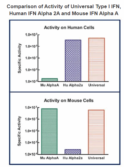 https://m1.acris-antibodies.com/catalog/product/cache/5/image/9df78eab33525d08d6e5fb8d27136e95/PBL11200-2-1.png