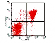 CL033R - CD72