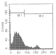 CL008R - CD8
