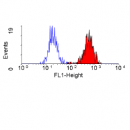 SM1097PS - CD35 / C3BR