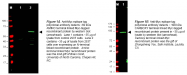 R1182 - c-Myc Epitope Tag (EQKLISEEDL)