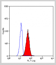 BM2226LE - CD221 / IGF1R
