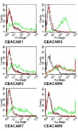 AM02001PU-N - CD66c / CEACAM6