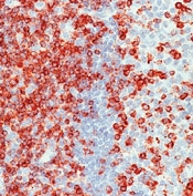AM00488SU-N - CD2