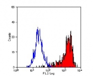 BM4008R - Macrophage F4/80 antigen