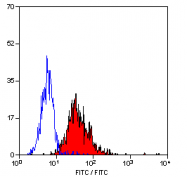 SM1677P - CD284 / TLR4