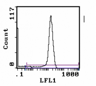 CL007F - CD8
