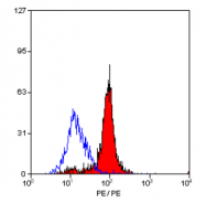 SM2025B - CLEC7A / Dectin-1