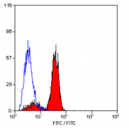 SM2025F - CLEC7A / Dectin-1