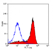 SM262PX - CD11b
