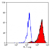 SM2211P - CD107b / LAMP2