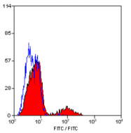 SM2036A - CD158 / KIR2D