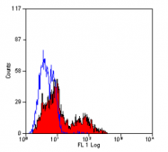 SM2036P - CD158 / KIR2D