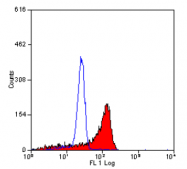 SM2004P - CD222 / IGF2R