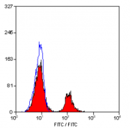 SM1873F - CD79b