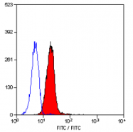 SM1834F - CD11c