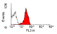 SM1846R - CD229 / LY9