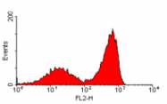 SM1576R - CD79b