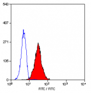 SM1525F - CD10 / Neprilysin