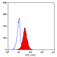SM1525P - CD10 / Neprilysin