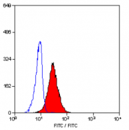 SM1525PS - CD10 / Neprilysin