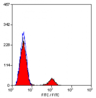 SM1529B - CD19
