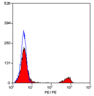 SM1529R - CD19