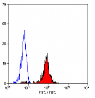 SM1167F - CD86