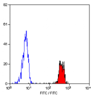SM1137F - CD53