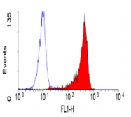 SM1137P - CD53