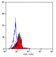 SM1106F - CD38
