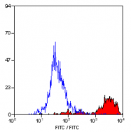 SM014F - CD11b