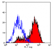 SM014PS - CD11b