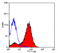 SM036P - CD48