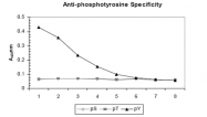 R1176 - Phosphotyrosine