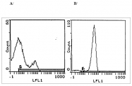 CL001BX - CD3