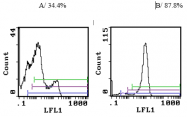 CL001P - CD3