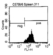 CL002F - CD3