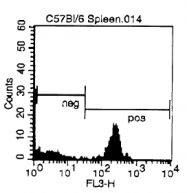CL004RX - CD4