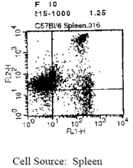 CL008B - CD8