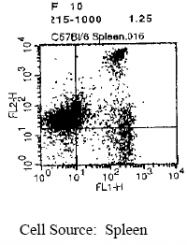 CL008BX - CD8