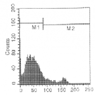 CL008RX - CD8