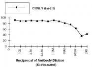 CL010 - CD8