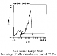 CL032B - CD62L / L-Selectin