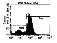 CL034B - CD72