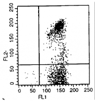 CL035F - CD72