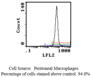 CL116A - Endothelium