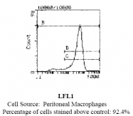 CL116FX - Endothelium